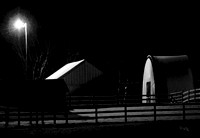 Black and Whites