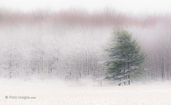 "Just a Dusting"