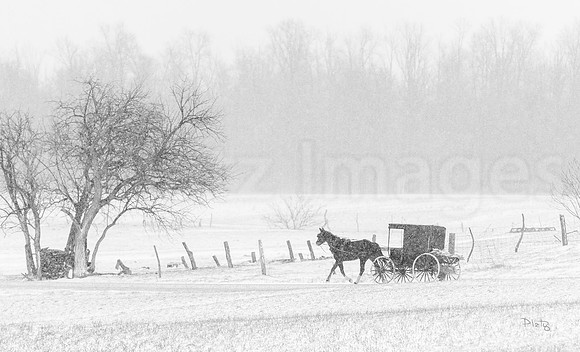 "Winter Commute"