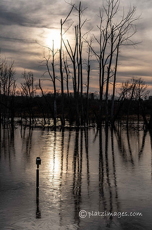"On Frozen Pond"