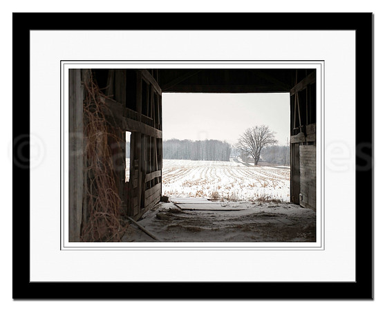 "Perspective" - Sold
