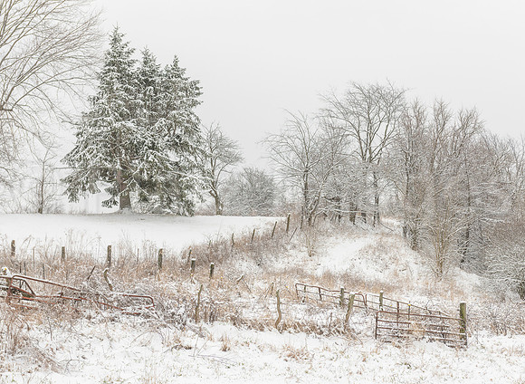 "Forgotten Boundaries"