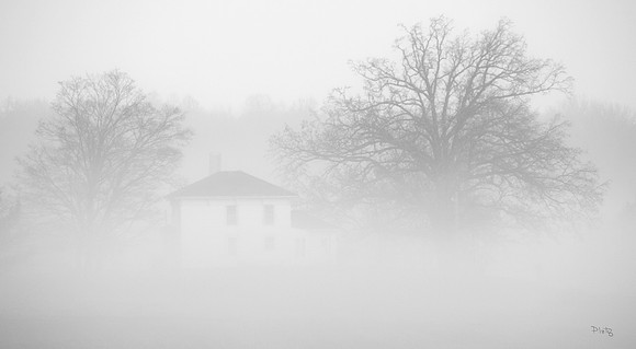 "Palmer's Farm"