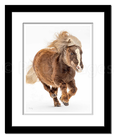"Pony Express"