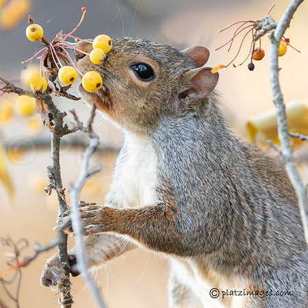 "Snack Time"