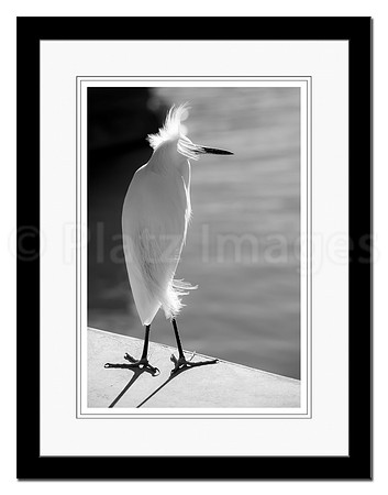 "Summer Breeze"