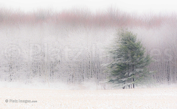 "Just a Dusting"