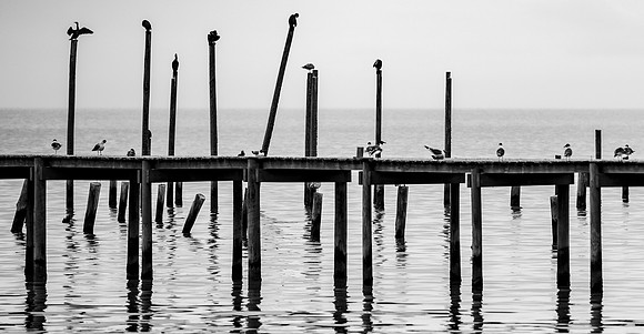 Pier Pressure