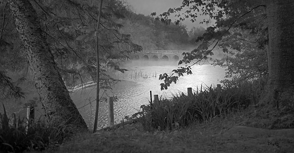 "The Bridge"