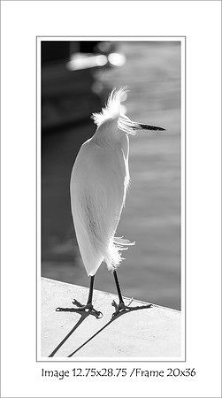 "Summer Breeze" $140 Mat opening 13.5x29.5 & 3.25" Mat