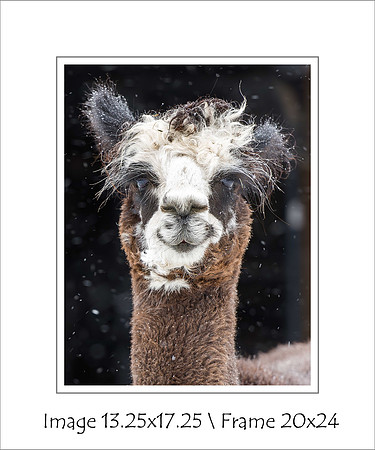 "Before Coffee" $95 Mat opening 14x18 & 3" Mat