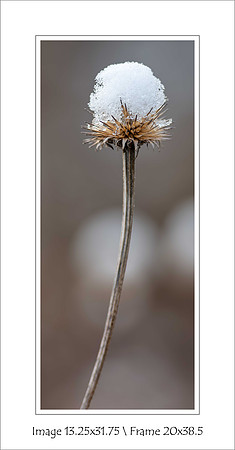 "Snow Capped" $160 Mat opening 14x32.5 & 3" Mat