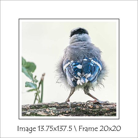 "Courage" $80 Mat opening 14.5x14.5 & 2.75" Mat