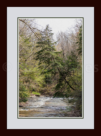 matted and framed to overall of 51x68.  3.5 wide frame. 5.5 wide mat