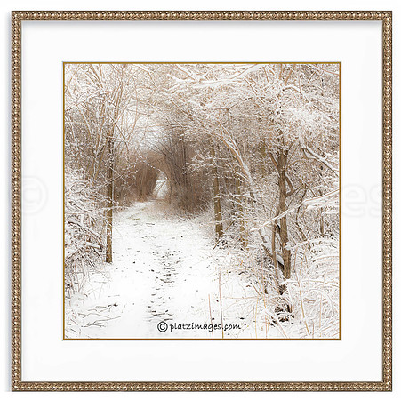 "The Rabbit Hole" Framed