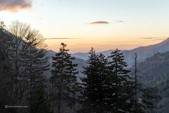"The Smokies"