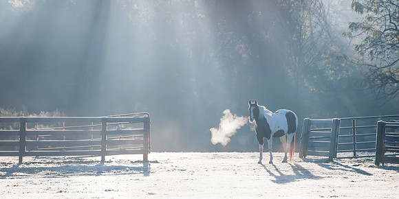 "Breathless"