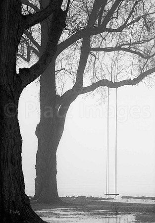 "The Giving Tree"