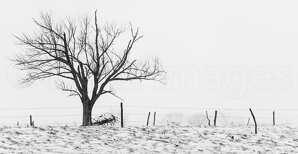 "Dead of Winter"