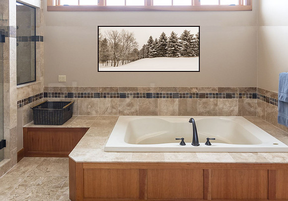 28x62 art to scale on wall