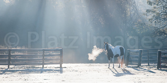 "Breathless"
