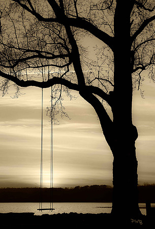 sepia